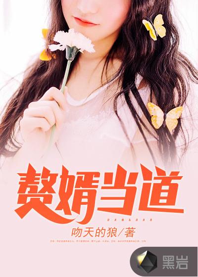 赘婿当道南桥故人免费阅读