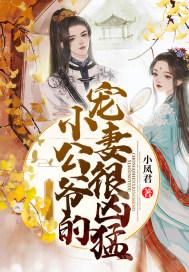 小公爷的夫人