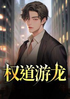 权道游龙txt电子书