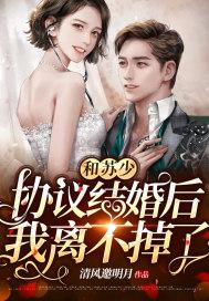 和少帅的婚宠日常苏浅祈景琛