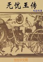 无忧王是什么意思