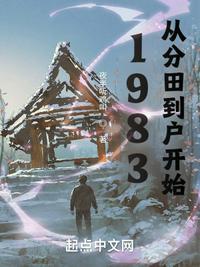 分田到户是那年那月