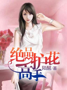 极品护花高手女主