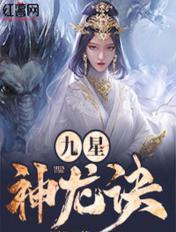 九星神龙诀所有境界