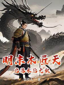 天启木匠作品