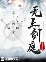 无上剑谱全篇