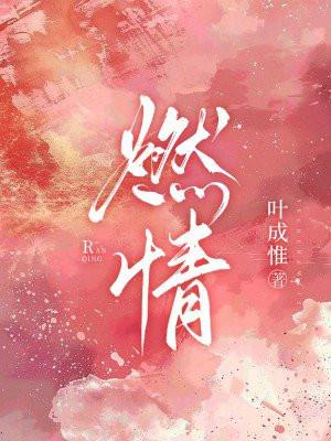 燃情仕途免费阅读全文免费全文阅
