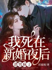 我死在新婚夜后渣男疯了苏菀陆时晏全文阅读