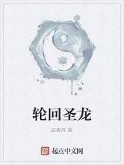 轮回圣龙经