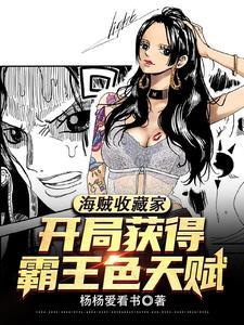 海贼神级宝藏系统免费