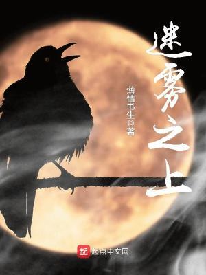 迷雾之上讲了什么