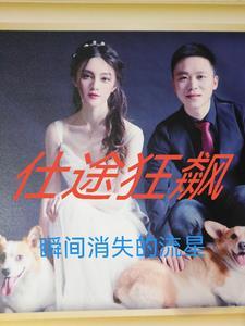 仕途也轻狂