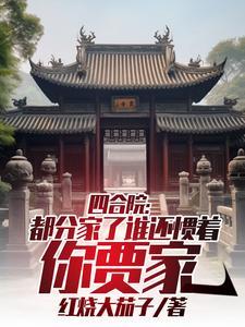 四合院贾梗