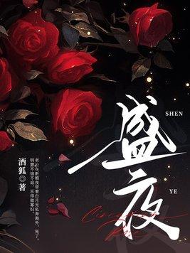 盛夜大陆