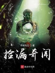 捡漏奇闻TXT全集