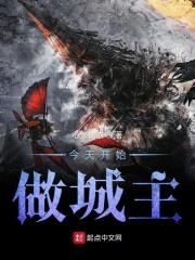 今天开始做城主TXT