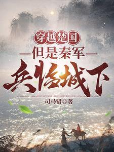 穿越到楚汉之争的