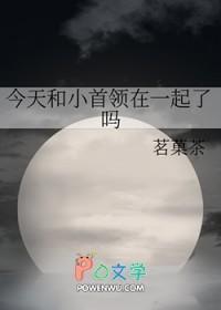 [综漫]今天和小首领在一起了吗
