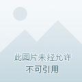 古医仙途录叶不凡秦楚楚